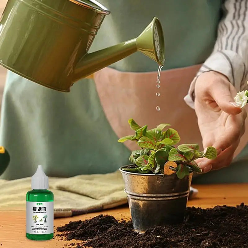 Brotika Revividor — Reanimador de plantas · 50 ml