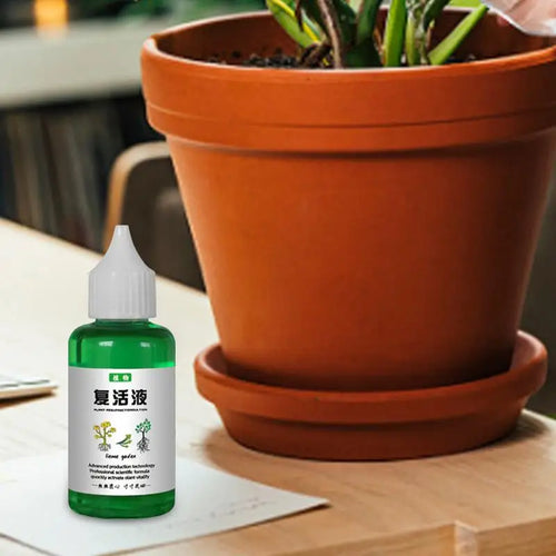 Brotika Revividor — Reanimador de plantas · 50 ml