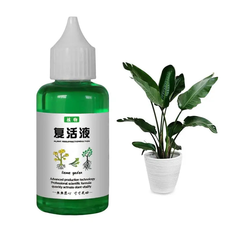 Brotika Revividor — Reanimador de plantas · 50 ml