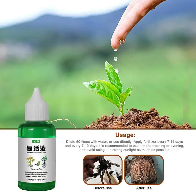 Brotika Revividor — Reanimador de plantas · 50 ml